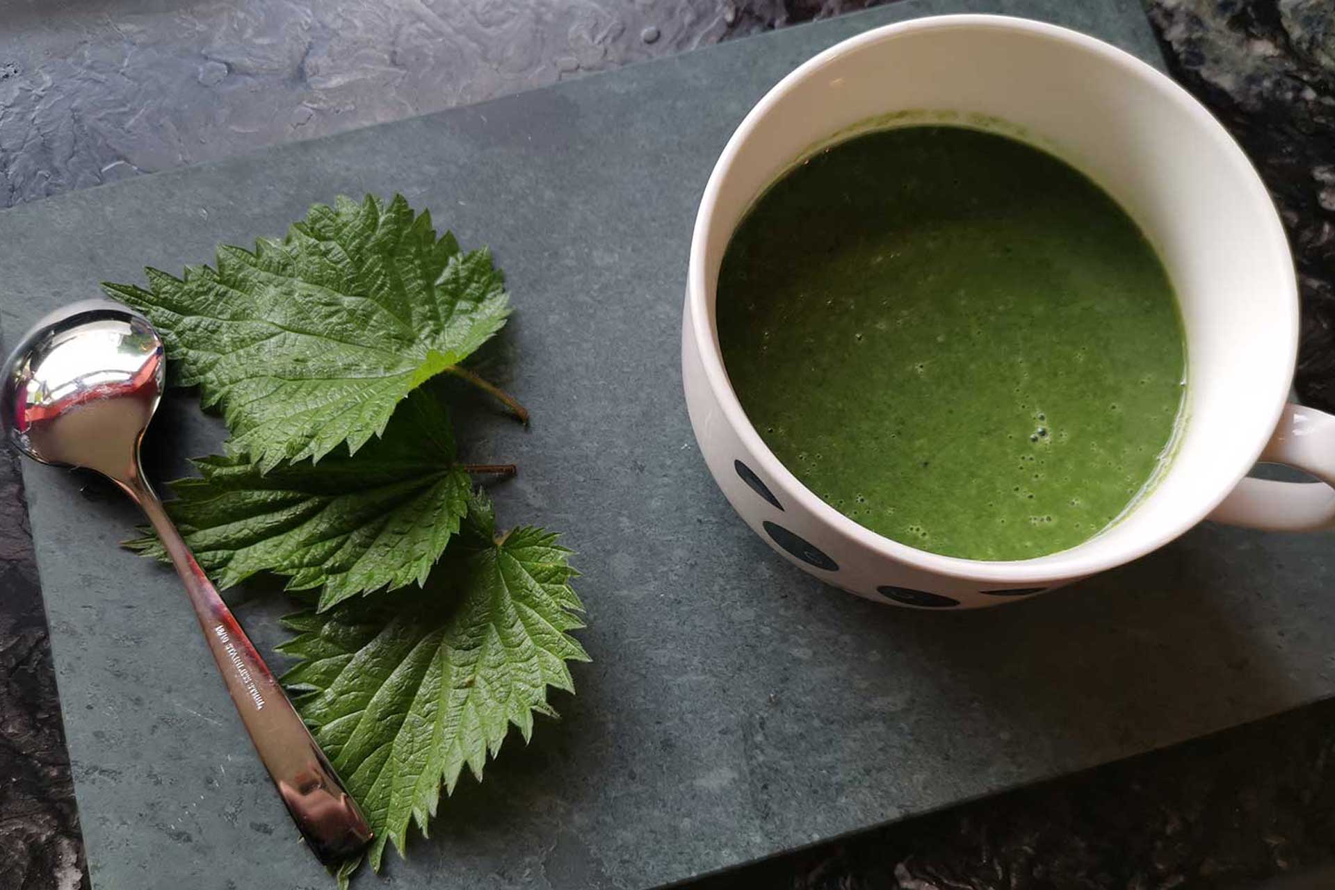 How To Harvest Stinging Nettle (and make soup) thumbnail with nettle leaves and bowl of nettle soup on slate tray