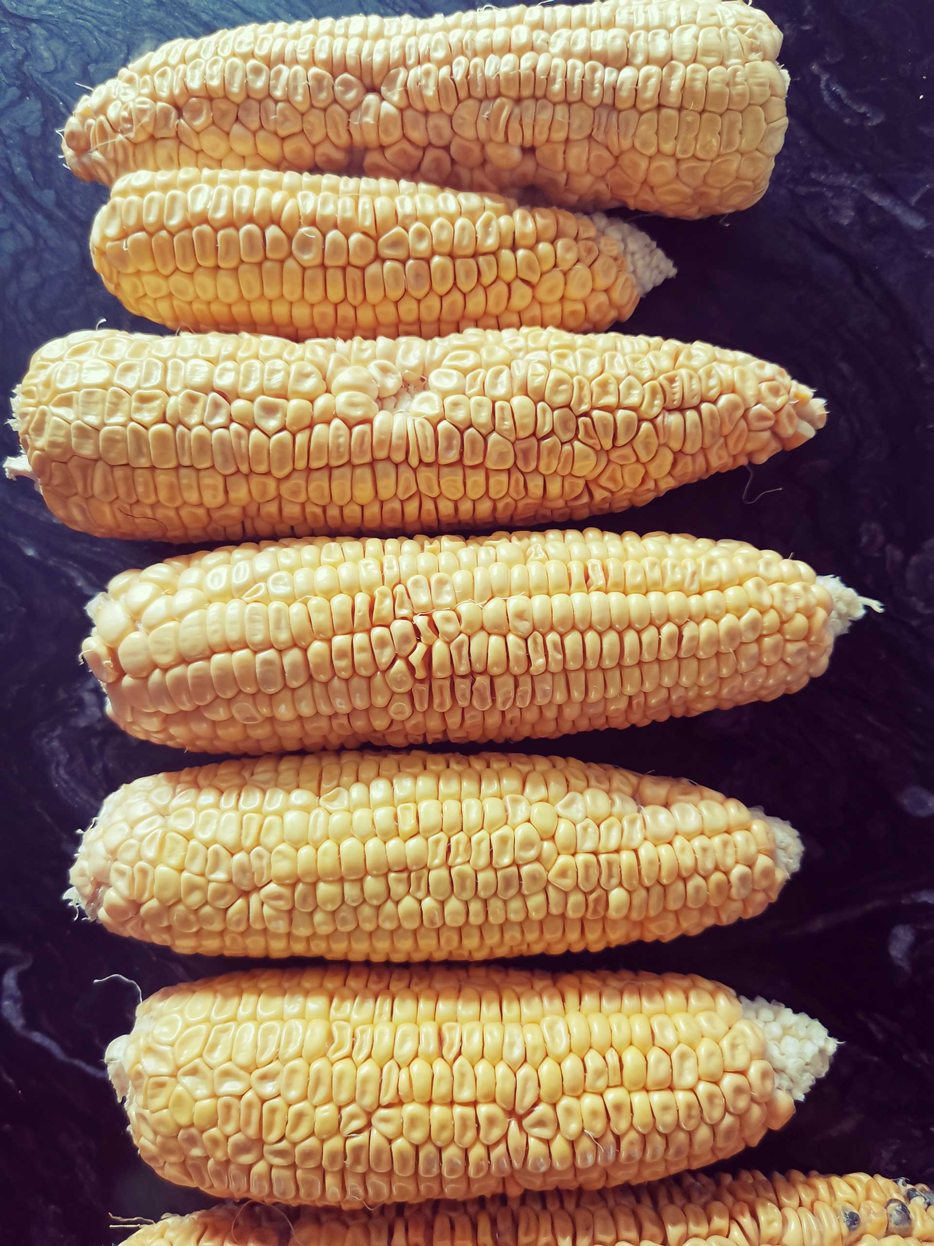 Swiss Special Sweetcorn Seeds