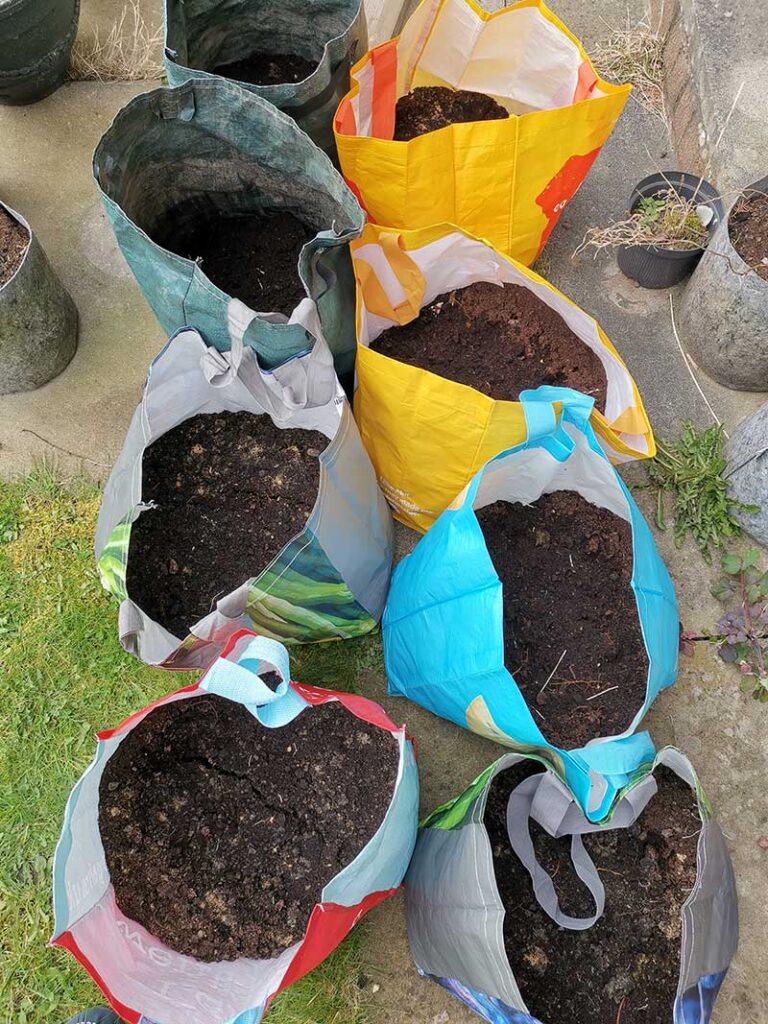 Grow Potatoes Without A Garden
