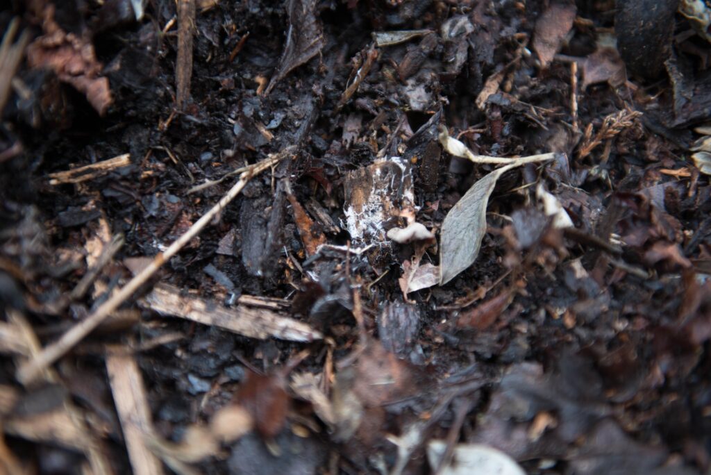 How long does it take to make compost?