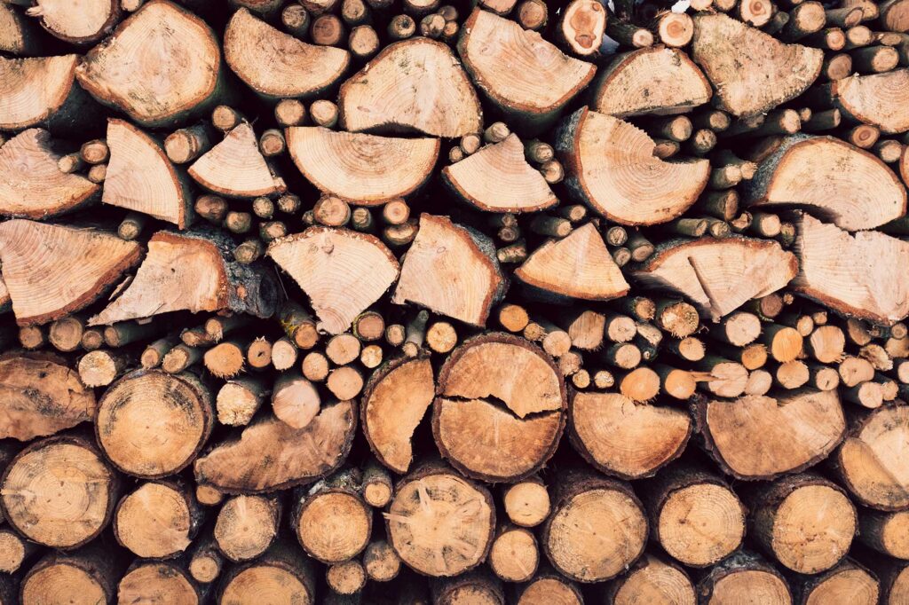 What type of wood burns best?