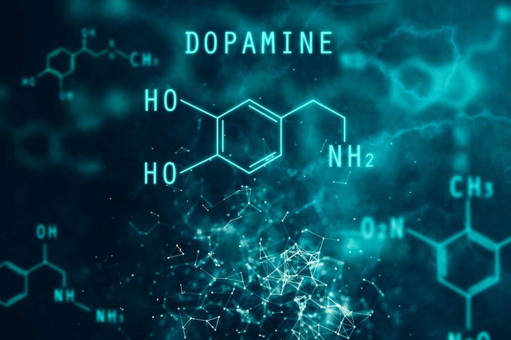 Dopamine: The Self Sufficient Man's Natural High