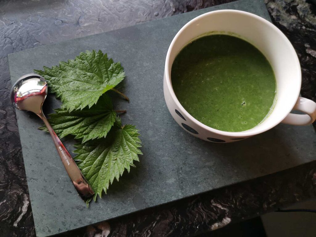 Nettle soup