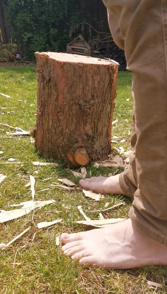 Self sufficiency roots