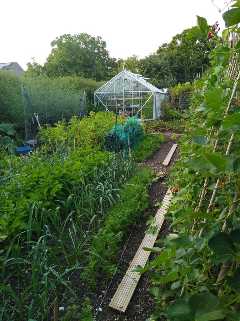Garden produce needing storage