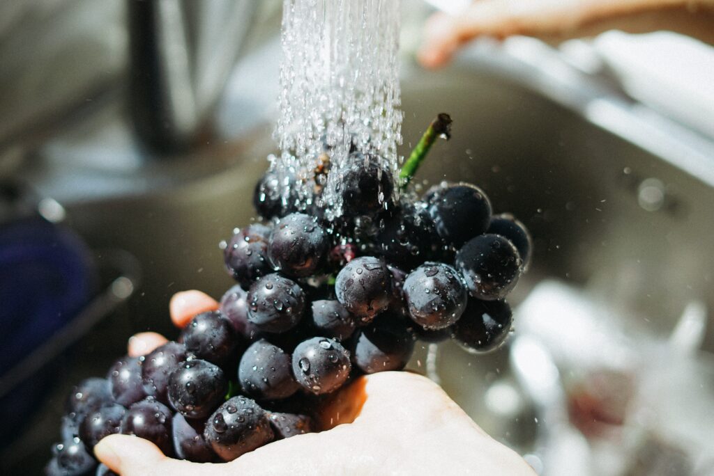 Washing freshly urban-foraged produce to reduce exposure to pollutants.