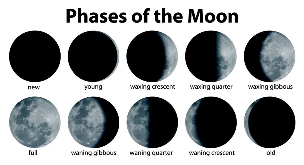 Phases of the lunar moon