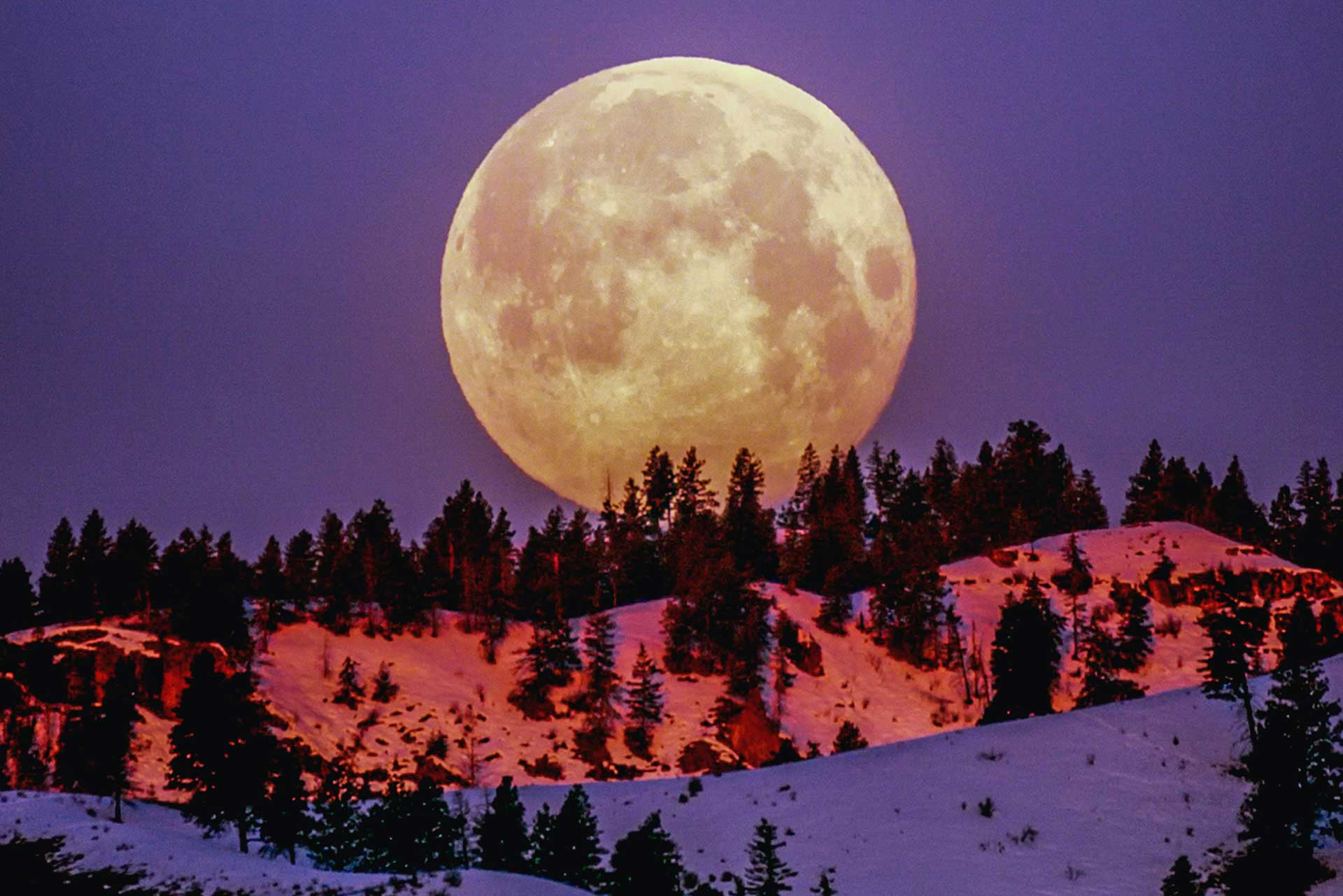 Planting survival crops by the moon rising above the mountain