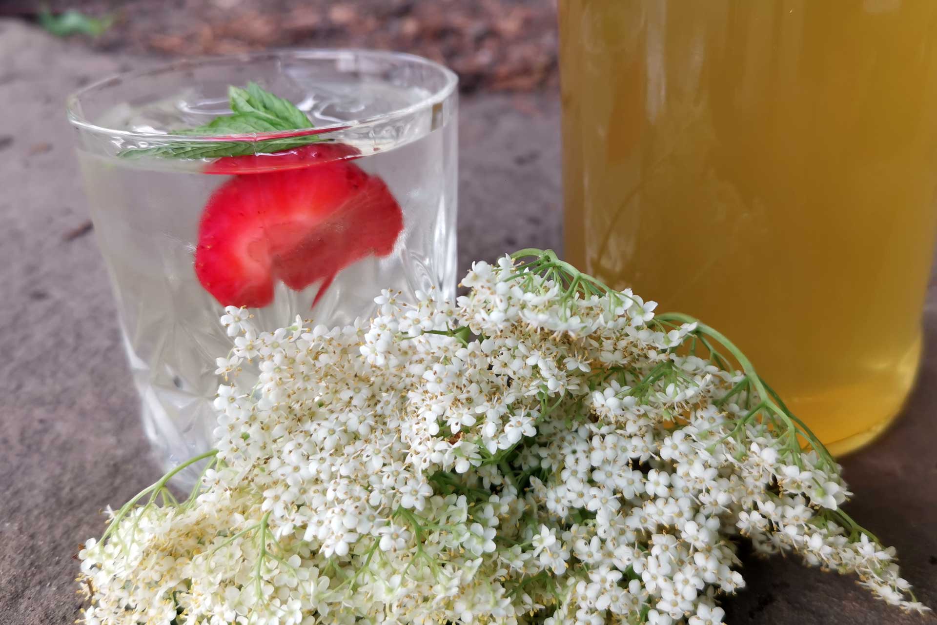 Fresh glass of elderflower syrup next to a bottle of cordial and some elderflowers