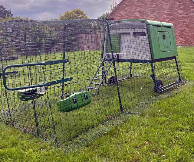 Full size omlet eglu cube chicken coop in a backyard