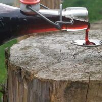 How to make elderberry syrup featured image