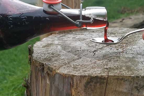 How to make elderberry syrup featured image