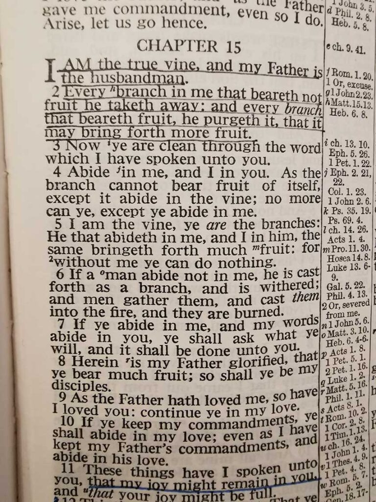 John 15:5 KJV - Self Sufficiency in the bible
