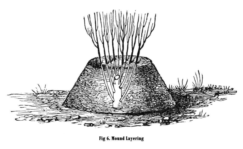 Mound layering example